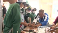 中学生が魚さばきに挑戦