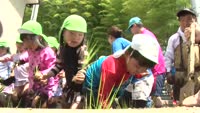 園児たちが田植えに挑戦！