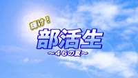 輝け！部活生 ～４６の夏～（硬式テニス部）