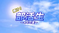 輝け！部活生 ～４６の夏～（弓道部）