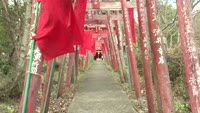 遠見稲荷神社　初午大祭