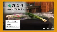 旬だより～べっぴんねぎ