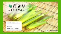 旬だより～まこもだけ