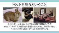とんぼ回覧板～別府市環境課（ペットの飼い方）