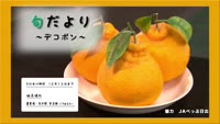 旬だより～デコポン