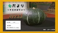 旬だより～冬至かぼちゃ