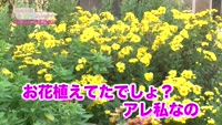 あの町この町ころころミッション！～Ｎｏ．２１５　日出町日出地区北浜　その３
