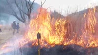 猪の瀬戸湿原　野焼き
