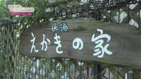 あの町この町ころころミッション！ ～Ｎｏ．２４７　別府市竹の内