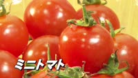 旬だより【ミニトマト】