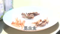 昆虫食自販機が登場