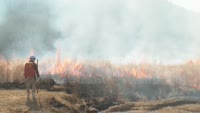 猪の瀬戸湿原で野焼き