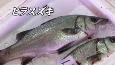 旬だより アカバナ ケンサキイカ 日出町