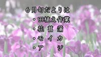 旬だより ６月