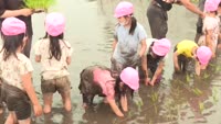 大平山幼稚園田植え体験