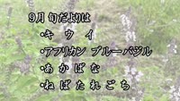 旬だより～９月号