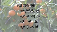 旬だより　令和４年７月