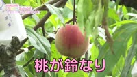 あの町この町ころころミッション！ ～Ｎｏ．２９６　日出町川崎地区則次その１