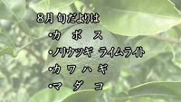 旬だより　令和４年８月