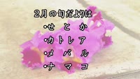 旬だより　令和５年２月