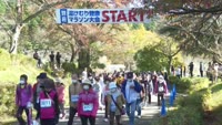別府湯けむり健康マラソン・ウォーク大会