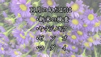 旬だより　令和４年１１月