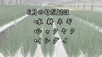 旬だより　令和５年６月