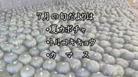 旬だより～７月号