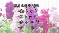 旬だより　令和５年３月
