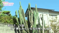 あの町この町ころころミッション！ ～Ｎｏ．３６１別府市鶴見その１