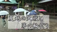 特集　夏越の大祓と茅の輪くぐり