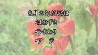 旬だより　令和５年６月