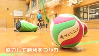 特集「小学生バレーボールチーム 境川ビーバーズ」
