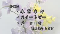 旬だより　令和６年３月