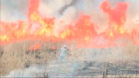 猪の瀬戸湿原で野焼き