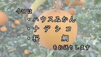 旬だより　令和６年４月