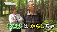 あの町この町ころころミッション！ ～Ｎｏ.４４８　別府市東山１区その２