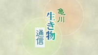 亀川生き物通信 ～２０２５秋～