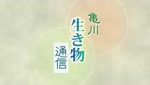 亀川生き物通信 ～２０２５秋～