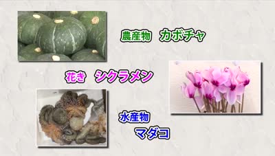 旬だより カボチャ・シクラメン・マダコ