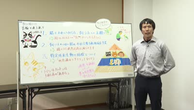 とんぼ回覧板～別府市生活環境課～