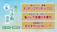 特集 亀川生き物通信 ～２０２６冬～