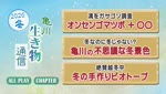特集 亀川生き物通信 ～２０２６冬～