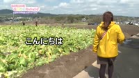 あの町この町ころころミッション！ ～Ｎｏ．４７８　日出町川崎地区大峯その１