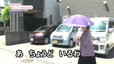 あの町この町ころころミッション！ ～Ｎｏ．４８９　別府市緑丘町その４