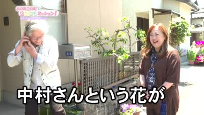 あの町この町ころころミッション！ ～Ｎｏ．４９０　別府市緑丘町その５