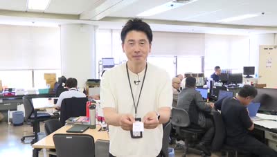 サンプル