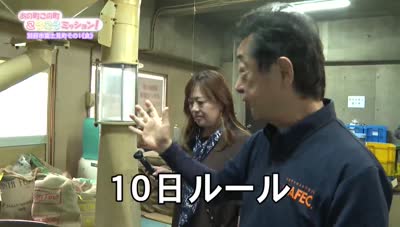 あの町この町ころころミッション！ ～Ｎｏ．４９１　別府市富士見町その１