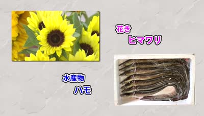 サンプル