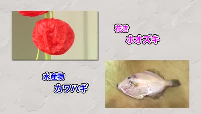 サンプル